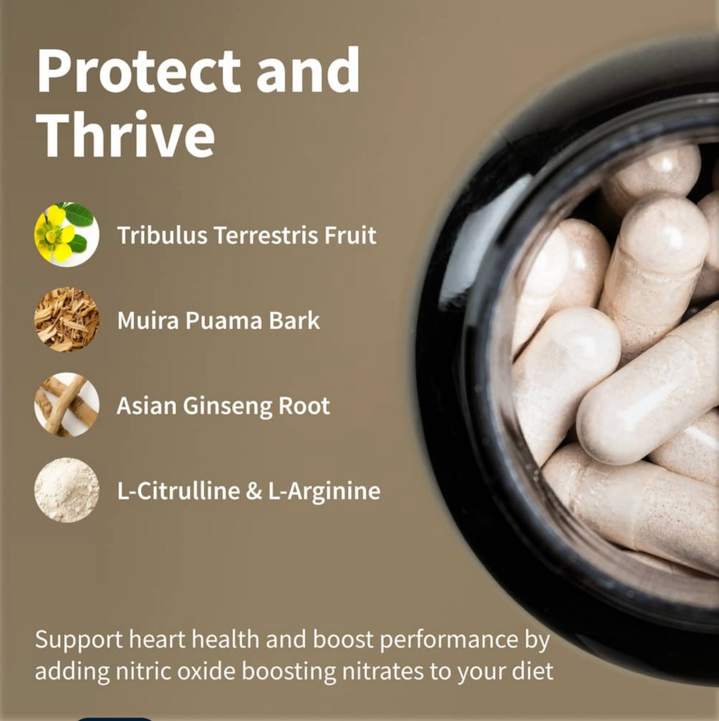 Nitric Oxide Care Capsules
